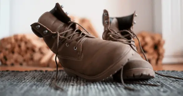 This image shows a Blundstones shoes