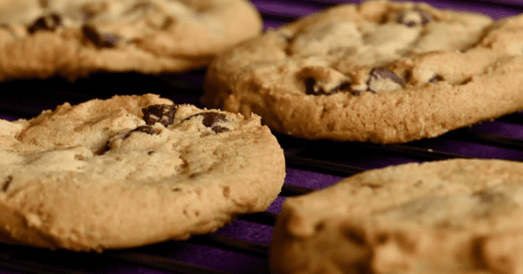 This image shows a cookie Without Chocolate Chips
