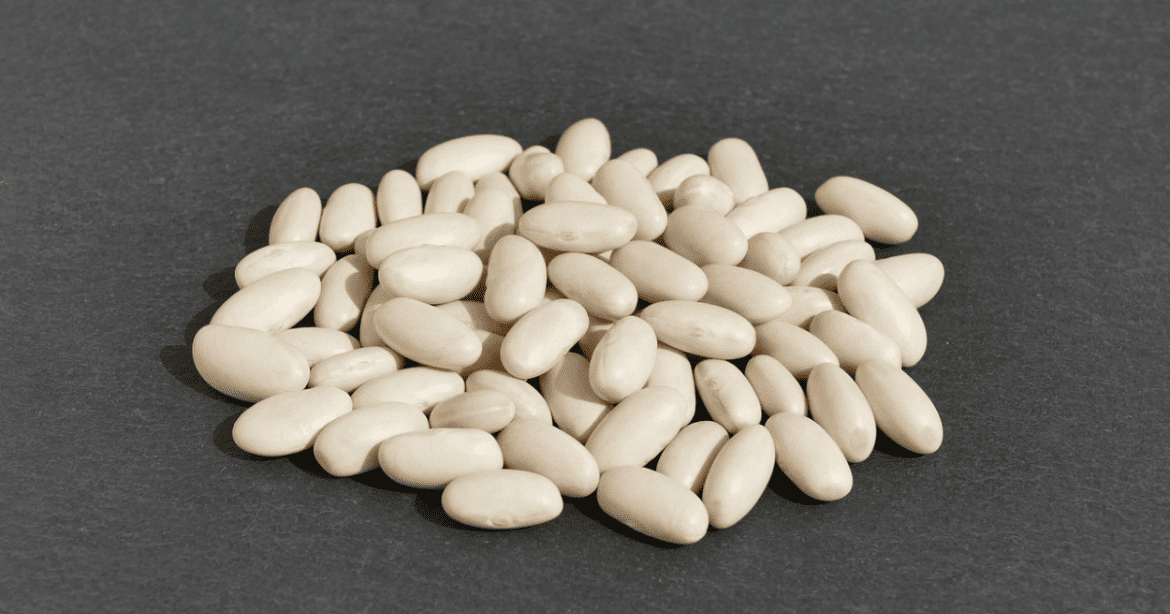 Southern Style White Beans This image shows White Beans